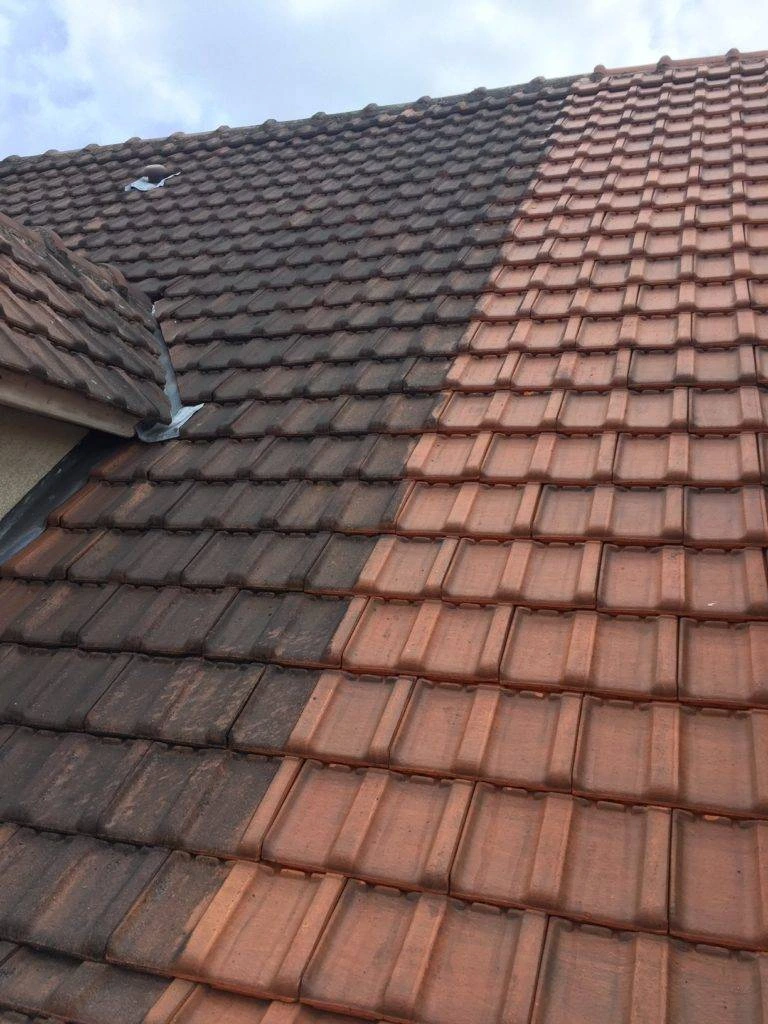 Entretien et nettoyage de toiture Lyon - Démoussage